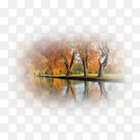 Ë®²Ê»×ÀÃæ±ÚÖ½-¿ÕÈôÍø Ë®²Ê»×ÀÃæ±ÚÖ½-¿ÕÈôÍø