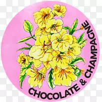 花卉设计花卉图样摄影.节育-空若网 花卉设计花卉图样摄影.节育-空若网