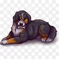 小狗繁殖鼻子爪子-空若网 小狗繁殖鼻子爪子-空若网