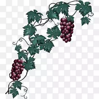 葡萄酒剪贴画-葡萄-空若网 葡萄酒剪贴画-葡萄-空若网