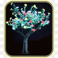 乔木植物花树-空若网 乔木植物花树-空若网