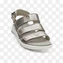 ����Ь-������