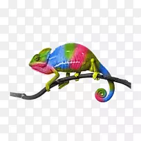 三星星系注II xos英菲尼克斯注3变色龙英菲尼克斯移动色变色龙-空若网 三星星系注II xos英菲尼克斯注3变色龙英菲尼克斯移动色变色龙-空若网