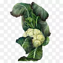 ʮ�ֻ����߲˻�Ҭ��ֲ���ͼ��Ҭ��-������