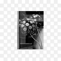 ��ɫ���-������