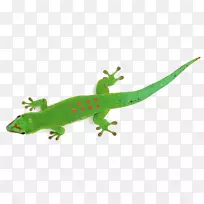 蜥蜴变色龙动画马达加斯加日壁虎变色龙-空若网 蜥蜴变色龙动画马达加斯加日壁虎变色龙-空若网
