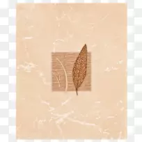 P?ytki�մɳ���ԡ���մ���-����-������