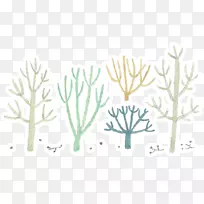 嫩枝草植物茎叶-空若网 嫩枝草植物茎叶-空若网