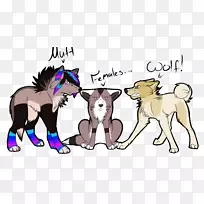 ��è�������ﴫ˵�еĶ���-��-������