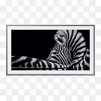 三星4k分辨率高清电视背光液晶显示器三星-空若网 三星4k分辨率高清电视背光液晶显示器三星-空若网