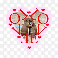 动物链-空若网 动物链-空若网