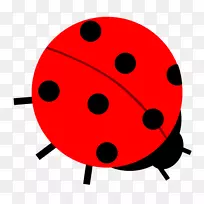 ���������.���ɲ���-������