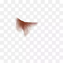 近距离鼻子天空-空若网 近距离鼻子天空-空若网