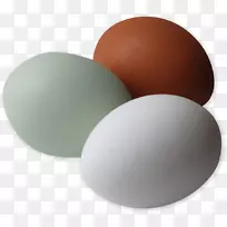 ����������������Lilliput��Befuscu-����������-������