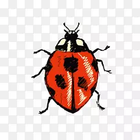 �׳�-��Ѳ�ͼ-ư��-������