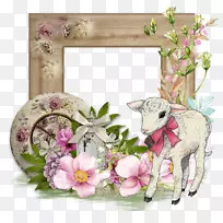 花卉设计画框.设计-空若网 花卉设计画框.设计-空若网