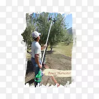 ������ð�յ�Ӱ-��-������