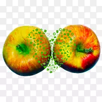 藻类生物技术公司网页横幅资讯推广-红藻-空若网 藻类生物技术公司网页横幅资讯推广-红藻-空若网