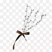 昆虫体珠宝线花虫-空若网 昆虫体珠宝线花虫-空若网