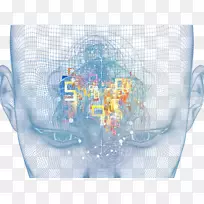 ËÜÁϲ£Á§À¶ÄÔÄ£ÐÍ-¿ÕÈôÍø ËÜÁϲ£Á§À¶ÄÔÄ£ÐÍ-¿ÕÈôÍø