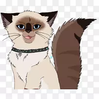 胡须猫,家用短毛猫鼻子-小猫-空若网 胡须猫,家用短毛猫鼻子-小猫-空若网