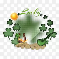 三叶草植物圣帕特里克日开花植物。帕特里克-空若网 三叶草植物圣帕特里克日开花植物。帕特里克-空若网