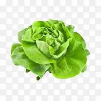 凤头莴苣蔬菜冰山生菜色拉-蔬菜-空若网 凤头莴苣蔬菜冰山生菜色拉-蔬菜-空若网