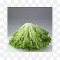 �������۲���ˮ��-������