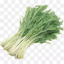 菊花菠菜蔬菜色拉-空若网 菊花菠菜蔬菜色拉-空若网