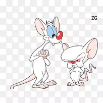 ���ӽ�Ŀ�����ֽ-����-������