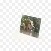 ���б���ͼƬ��-��ҳ����-������