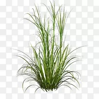 ��ɫ��Ȫ��-�ϲ�-������