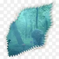 绿松石生物-生物-空若网 绿松石生物-生物-空若网