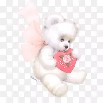 С��������Ȯ�鹷ë����ߺͿɰ����-С��-������