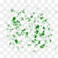 �ߵ�������-������