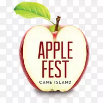 ����ƻ����������-ʮ�½�-������