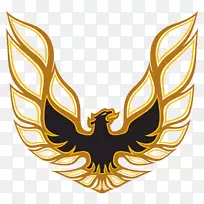 �ӵ��ǿ�GTO������Ǳ�־-����-������