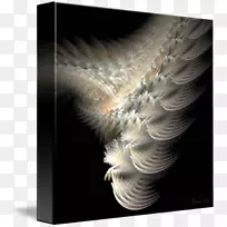 羽毛原料摄影.帆布材料-空若网 羽毛原料摄影.帆布材料-空若网