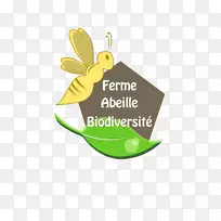 昆虫商标-昆虫-空若网 昆虫商标-昆虫-空若网