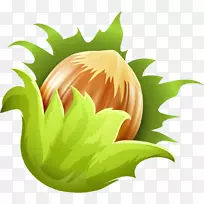 榛子核桃-空若网 榛子核桃-空若网