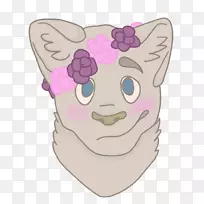 胡须猫鼻子粉红色m-猫-空若网 胡须猫鼻子粉红色m-猫-空若网