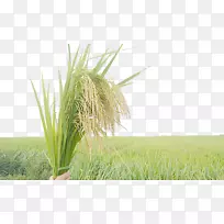 ˮ�����������-ˮ��-������