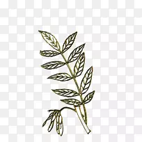 �⾰gimp��Ⱥ����-Ҷ-������