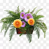 花卉设计切花花束花盆-花-空若网 花卉设计切花花束花盆-花-空若网