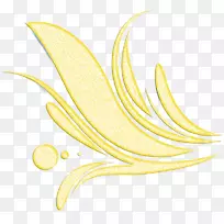 开花植物叶花瓣-空若网 开花植物叶花瓣-空若网