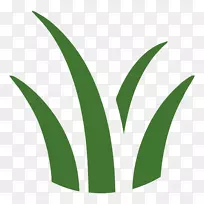 Ҷ���ֲ�ﾥ�ֿ⹤��-������