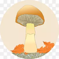 卡通-空若网 卡通-空若网