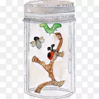 ���涯������-ƿ��-������