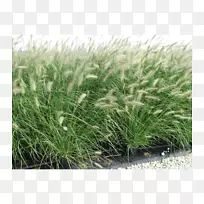 ��������-������