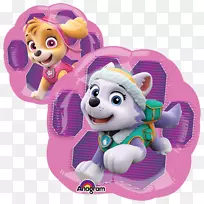 �����ɶ�Ѳ�߳������յ���-����-������